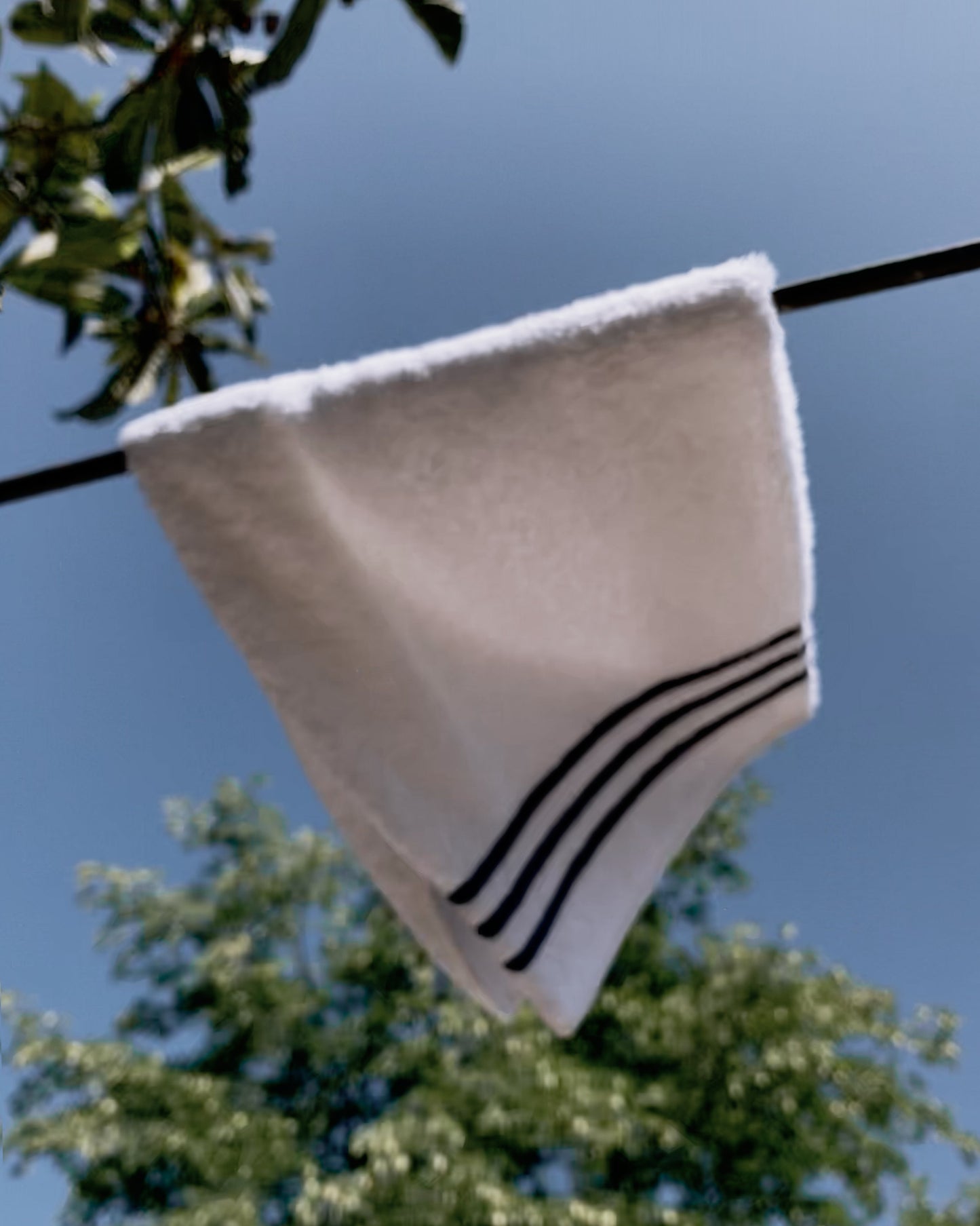 Isaac Guest Towel 30 x 50 cm made from 100% combed cotton